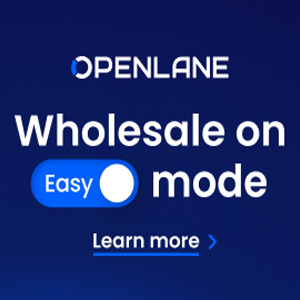 Openlane easy mode ad