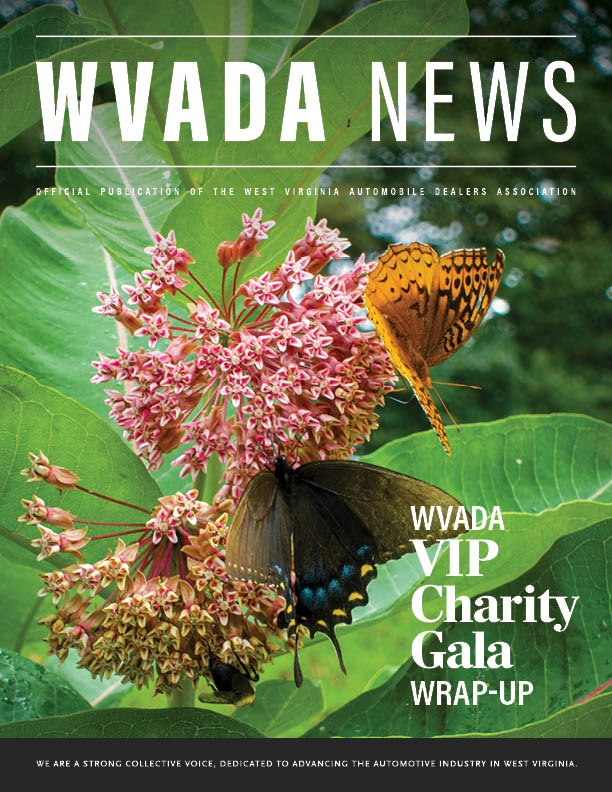 WVADA News 2026 Issue 1